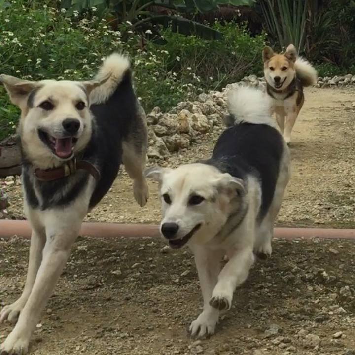 6b9cb13b 703a 416a 94c6 af3c46b8a4b0