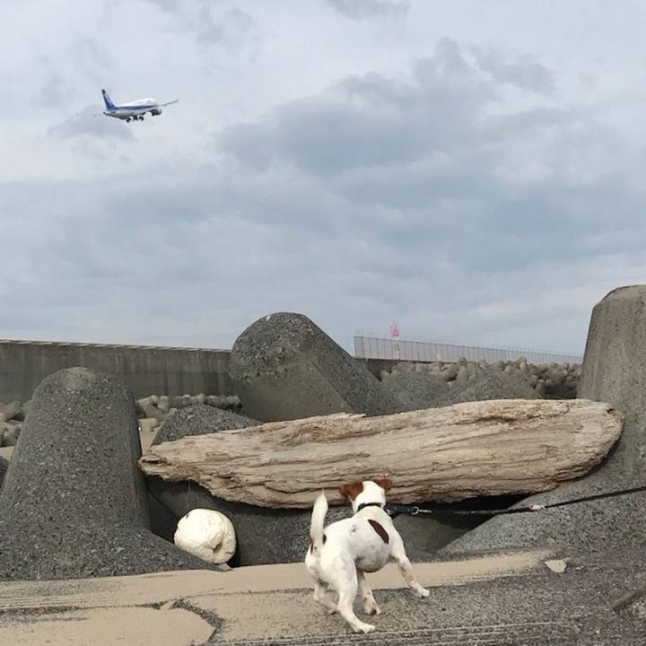 6b9cd262 4352 4018 8a7f d0b1cb78d0a1