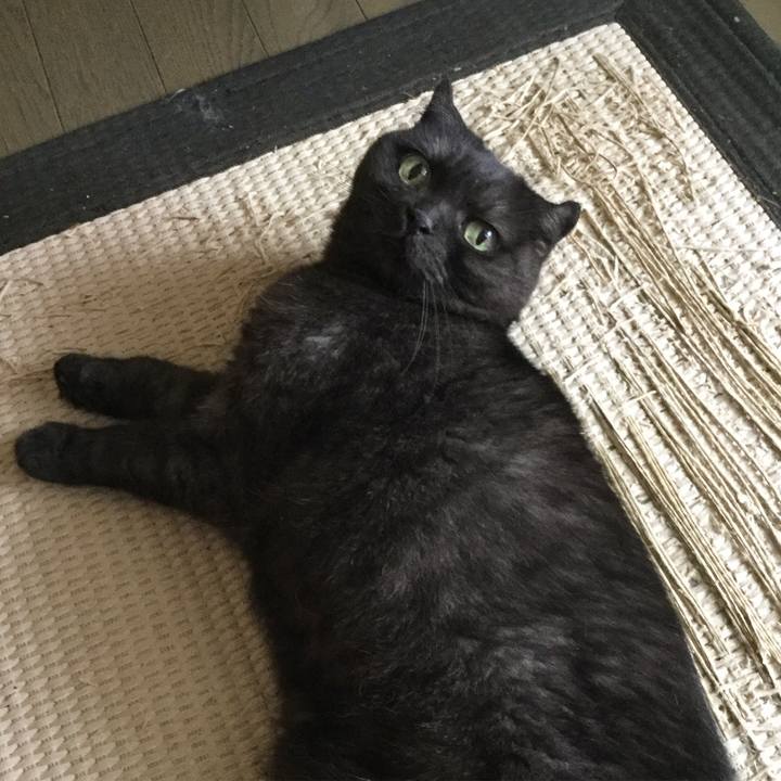 6b9cee15 933a 4411 9d63 e4ec8fa3f429