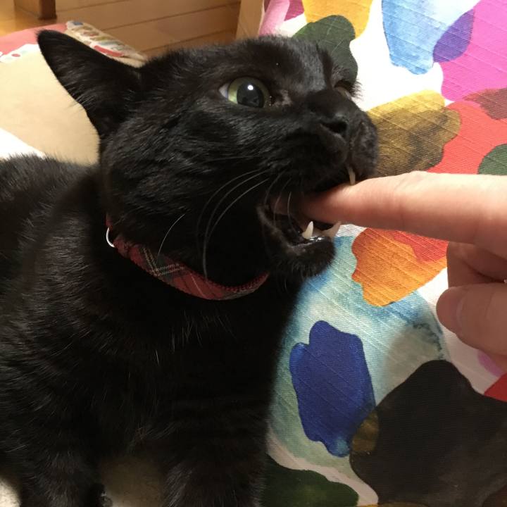 6b9d722e 2ad2 43aa b85b 6dc53d234994