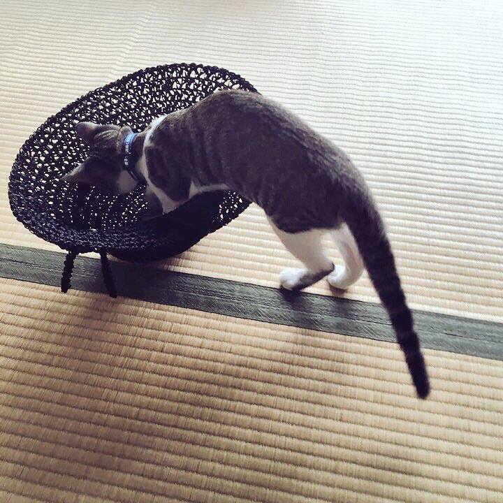 6b9d99f2 c843 46d3 b943 107631909e33