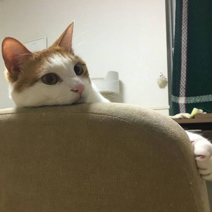 6b9e1635 cfe9 4b70 903c f39b7d824d80