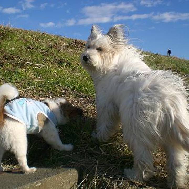 6b9e265e 8b23 49c1 89d0 72af2314fd00