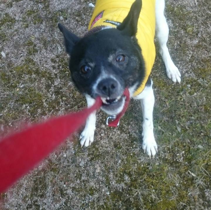 6b9ec528 451b 4630 a3b9 5e6dcf4a79c3