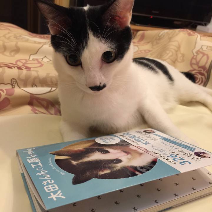 6b9ecf9f 8fda 4980 97e0 b710a69a0d82