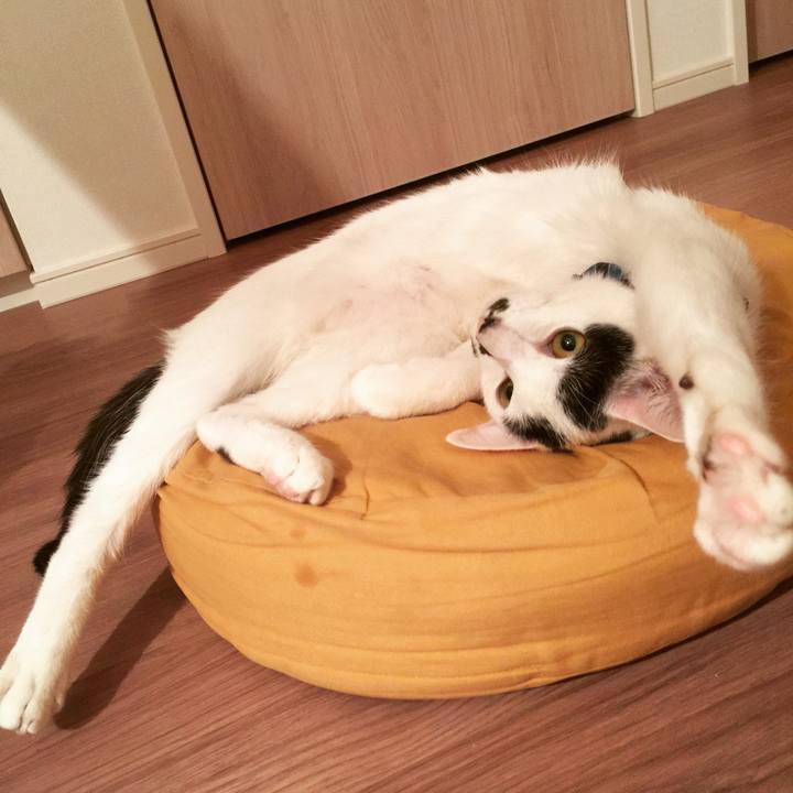 6b9edfdd fada 4322 be59 6b3efbc3567a