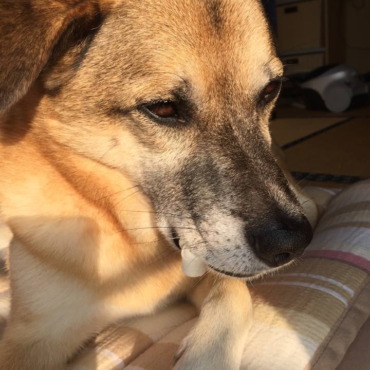 6b9f4438 1efd 42a5 9ecf f951b13d9c6c