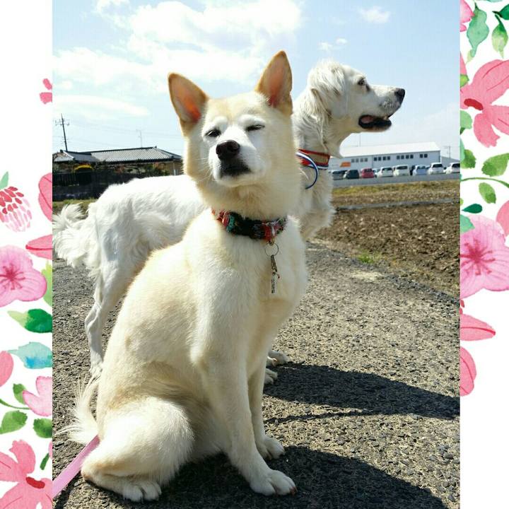 6b9faba9 dbb6 4cac b875 77aa6fbcac66