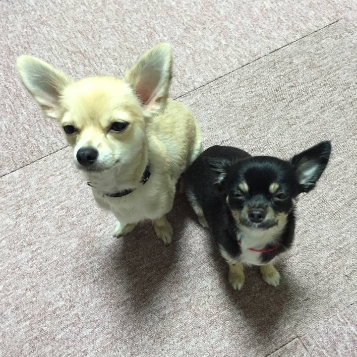 6b9fde96 04a8 48fb b12b f342f813fcc6