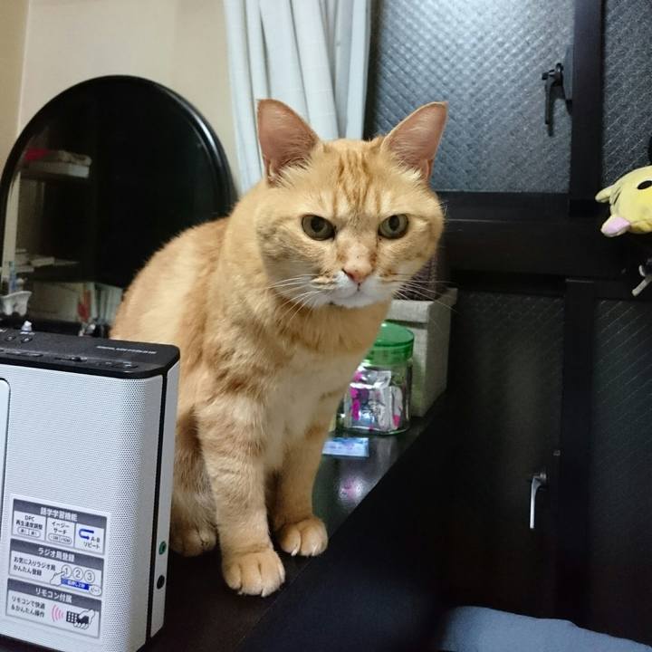 6ba005bf 3926 433c b7b9 d3282e8220d4