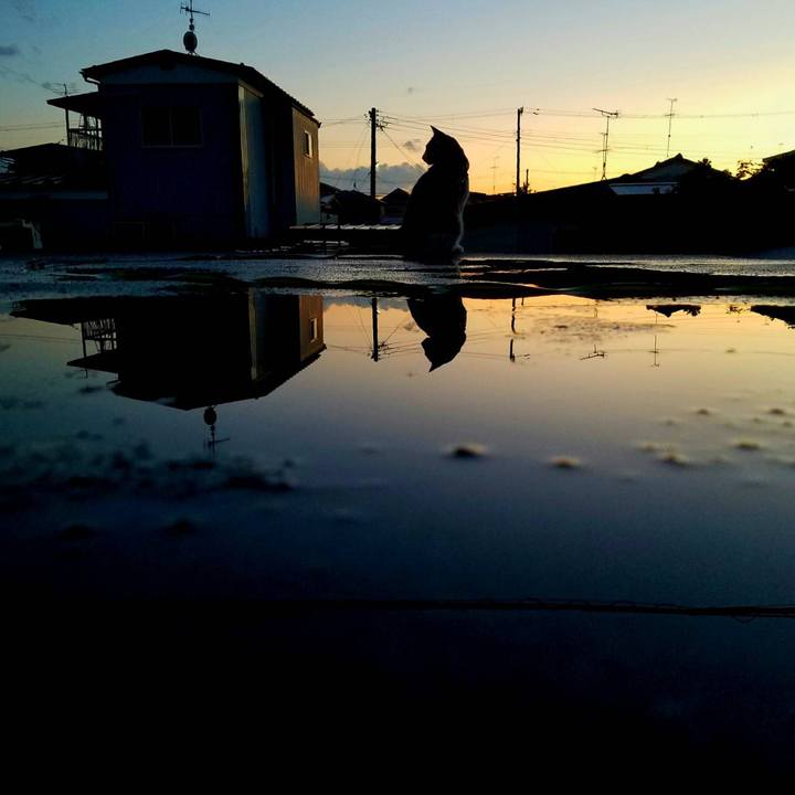 6ba1114e 81d3 4d4f af85 fbd358055396