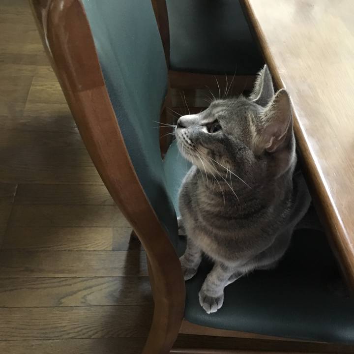 6ba20b3b 1947 41e8 99e6 a7dbda9648ff