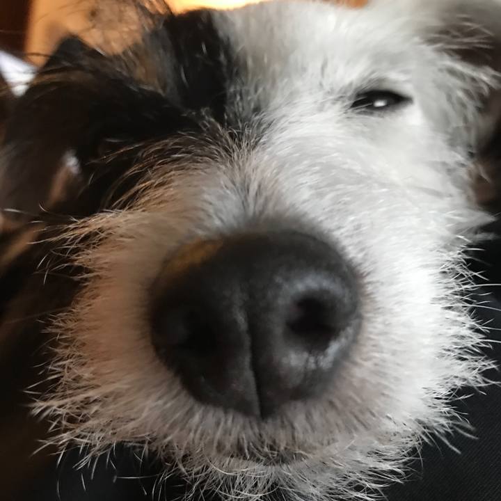 6ba2972a a769 446b 9768 97876603a11c