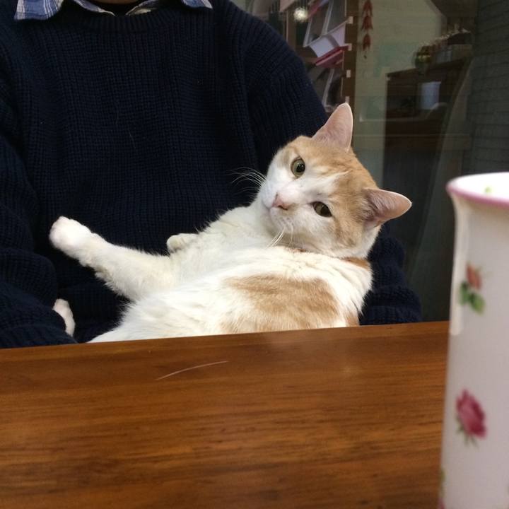 6ba29c07 c81c 48aa be19 f53665e446a9