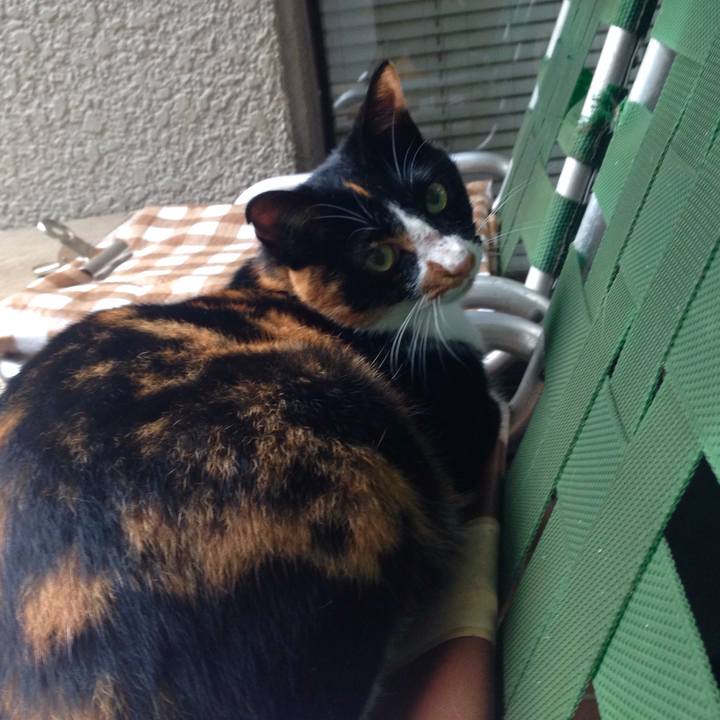 6ba2c6ea 9ee7 48af b8cc 7485ed49e277