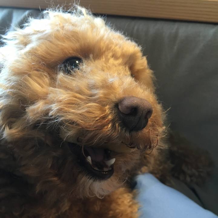 6ba2d620 12da 4c99 b46a 1437e6000594