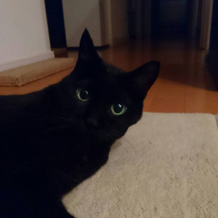 6ba2d82d 5b71 46a6 97ad 20e2a0409bfb