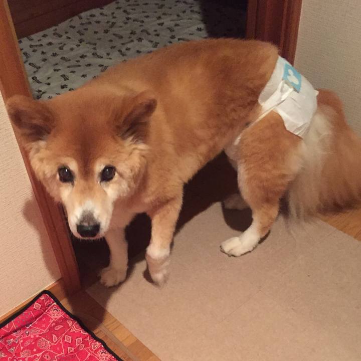 6ba2edbc 4dcd 4614 b27f cf171234672e