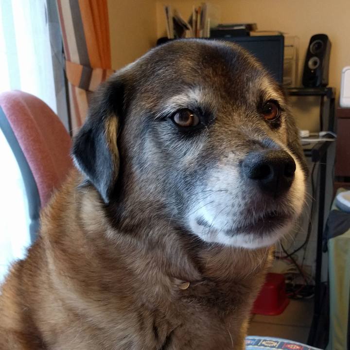 6ba3cdb7 abe6 4617 ab40 c6424402c17d