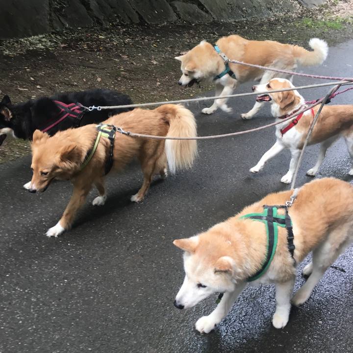 6ba44f9f 776a 48d4 be10 9b919a0c6995