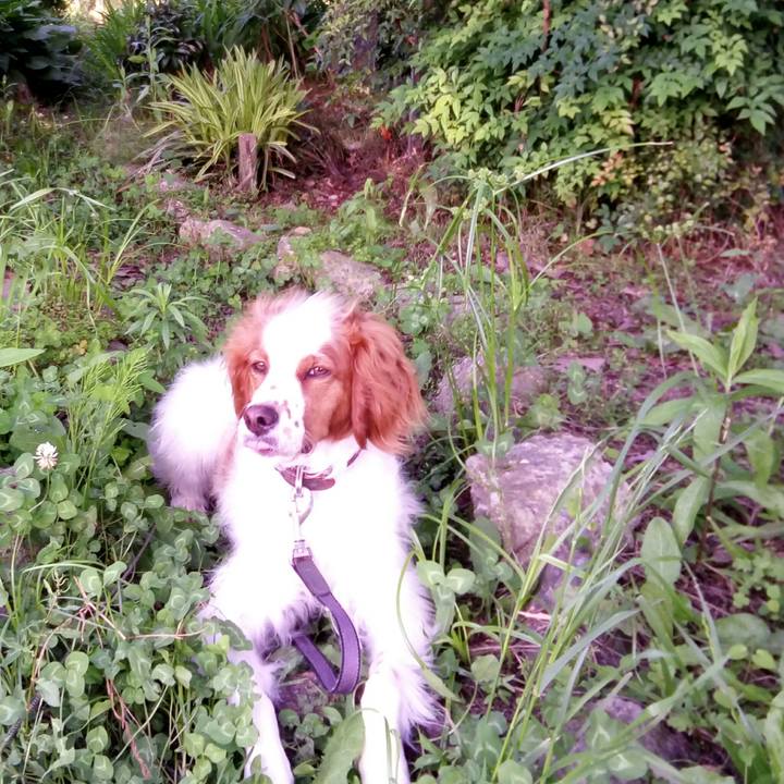 6ba46759 66f1 4026 b968 25e7bc843d0b