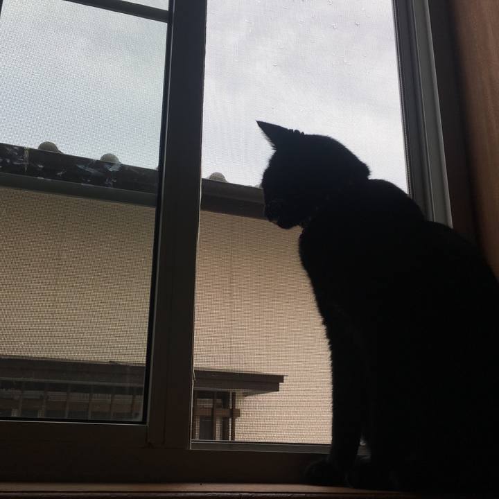 6ba495b8 d1c4 4b6c 9887 bcb6a20e238c