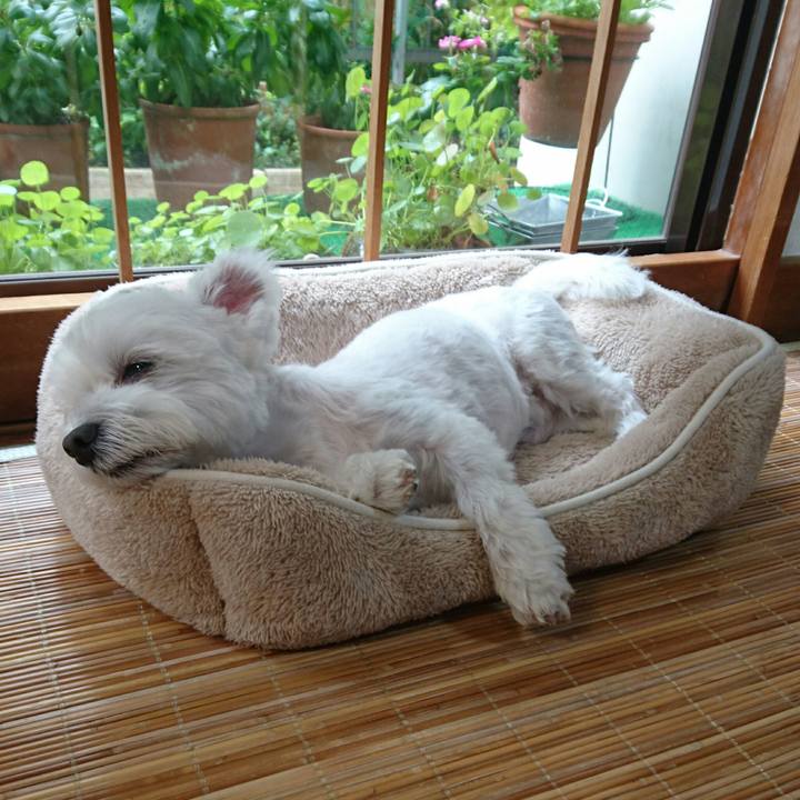 6ba4c508 c162 4dfb af6d 7684f81e7225