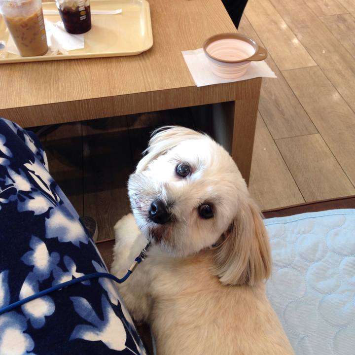 6ba5f02f 8975 4698 adb6 3e0d4c105f04