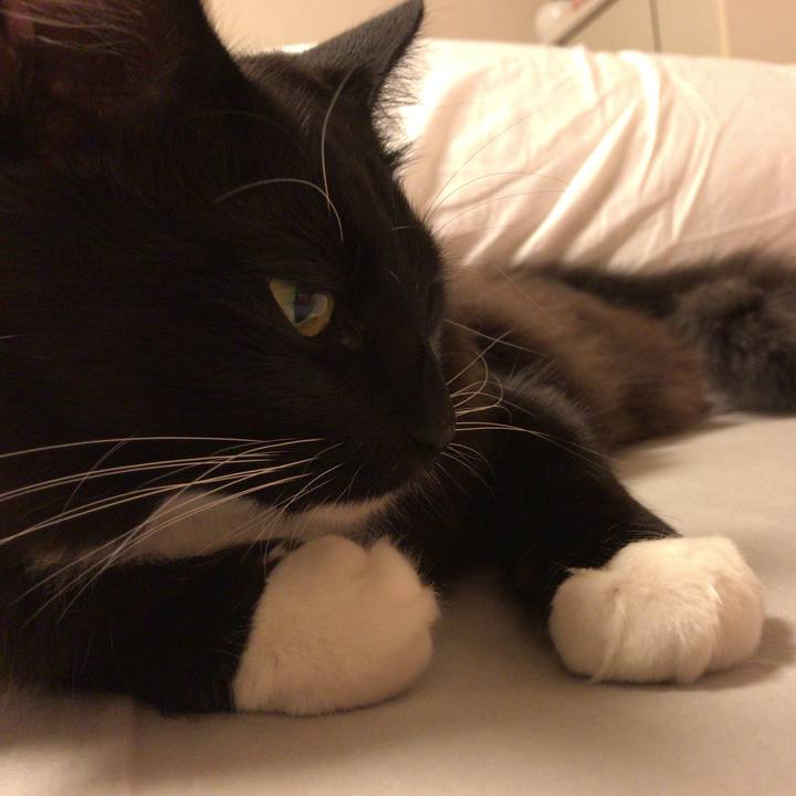 6ba619dc 1ed7 4210 9812 a611e1ae0df2