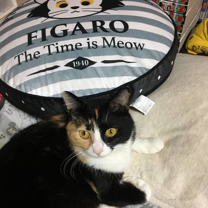 6ba67fb8 b5e0 4c1f b25d 043dc70011ce