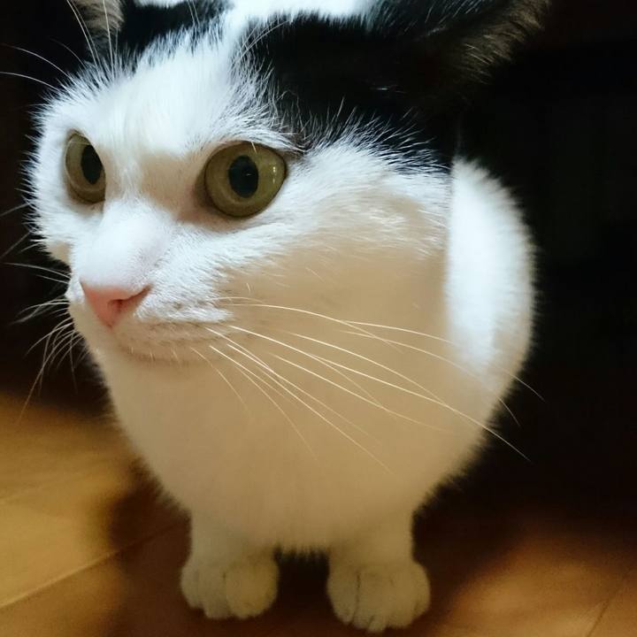 6ba6d1ce 2e9b 4613 adfd 9c96bbfa6bf5