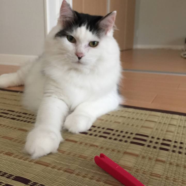 6ba6e8ae 1439 421e a25d dc53d9ddf83a