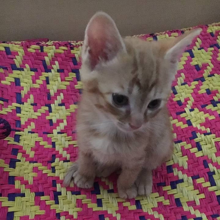 6ba75f13 c793 4170 a11e 772a41bd445f