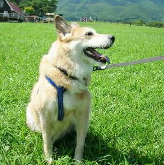 6ba80116 9124 4cc8 b75e d75a393807c3