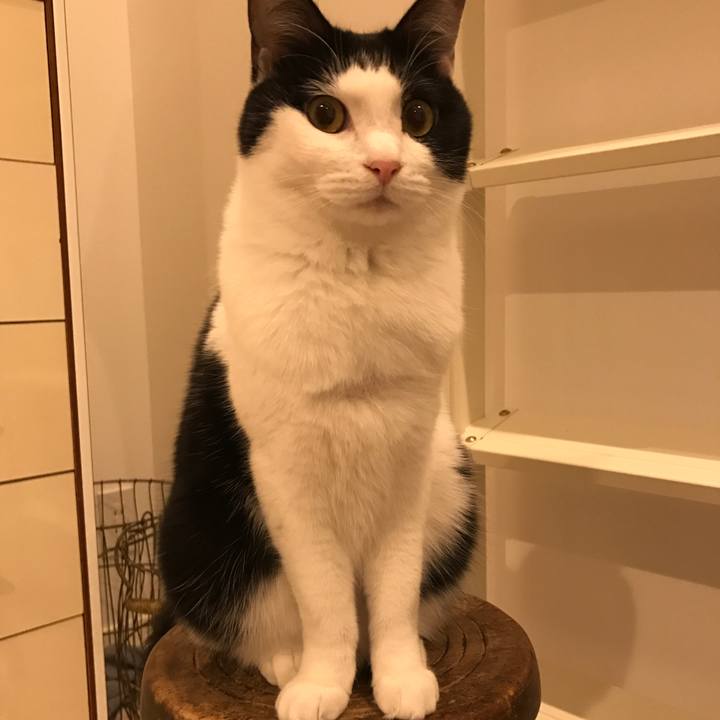 6ba8ee09 f83f 42b5 8d26 1396c61a0a77