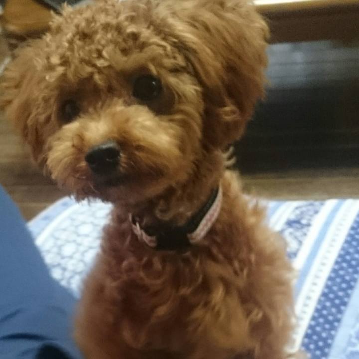 6ba8f454 54d1 40b6 8d68 f94d004dec15