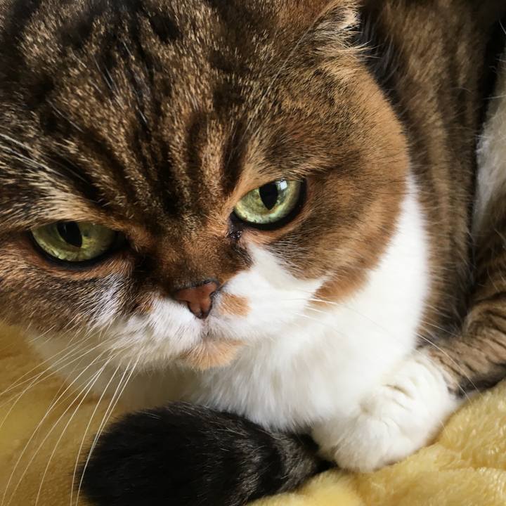 6ba958eb 7584 4ed8 9248 3f7dfb7b6c63