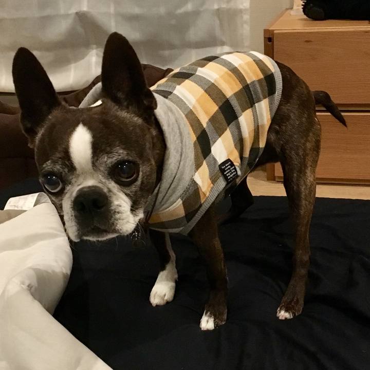 6ba97aeb 7a17 45f7 9807 9943e9b2f935