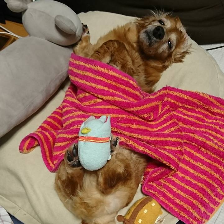 6ba990f0 f425 411d addf 587f80465219