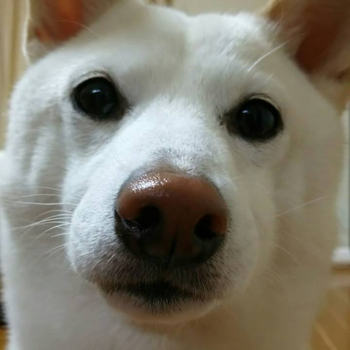 6baa2964 ca49 4f17 ad88 5fa910f17cb4