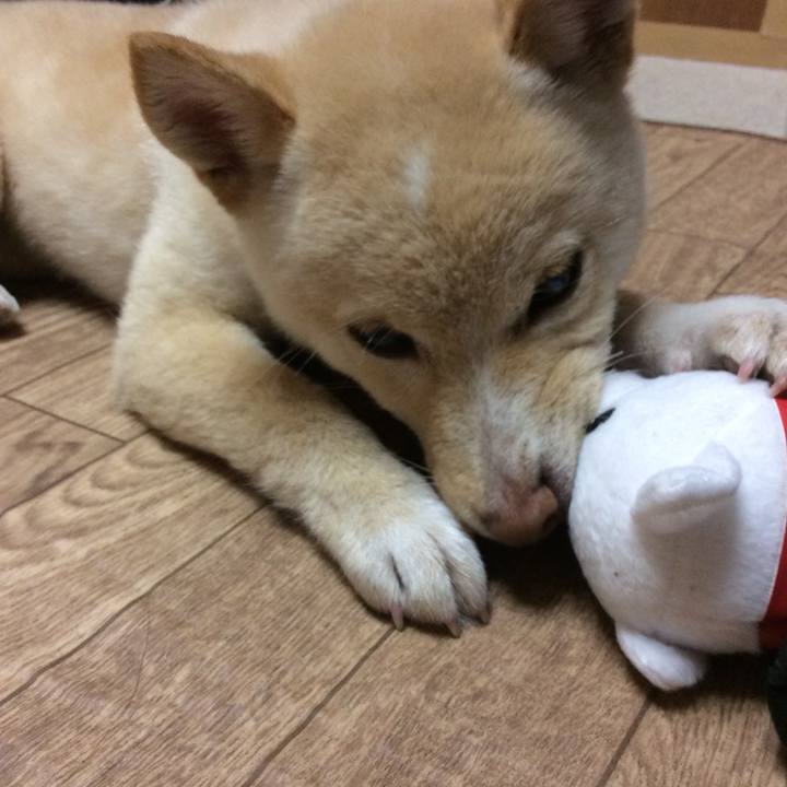 6bab860f 8ff0 46c6 9a7a 17f2c47364cb