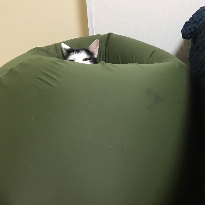 6babce7c 64be 4b1b 9362 f784652c236e