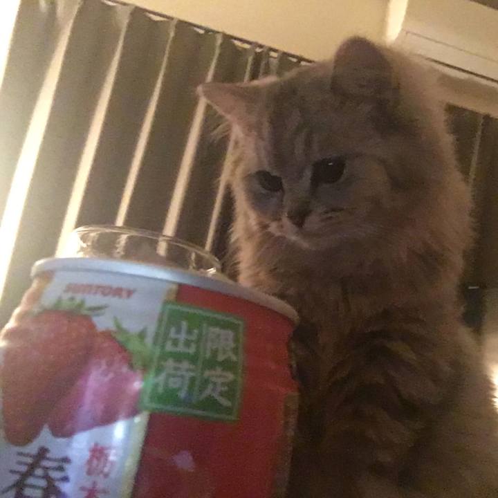 6babdb64 7f0f 4467 8acf be87f1c23476