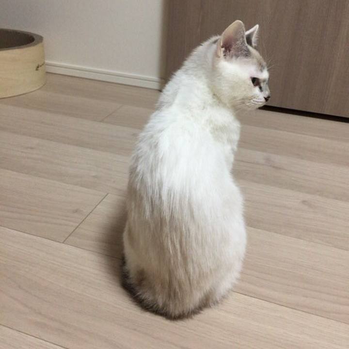 6bad529c ad94 48ba 907f 12c4c0f793f9