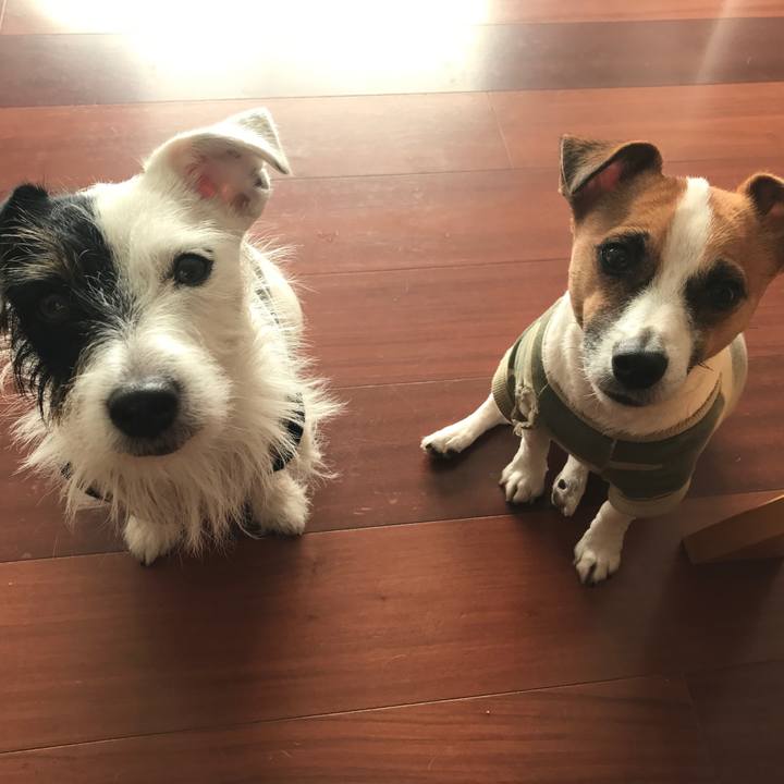 6badb0a7 e2a2 4e04 b080 fb20cc96e893