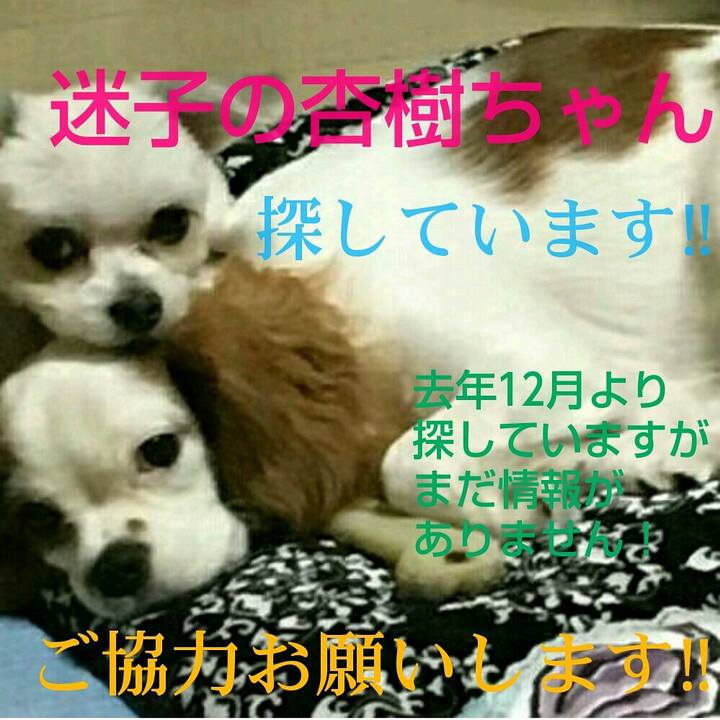 6badedd0 5465 4329 a7eb 7c306476f100