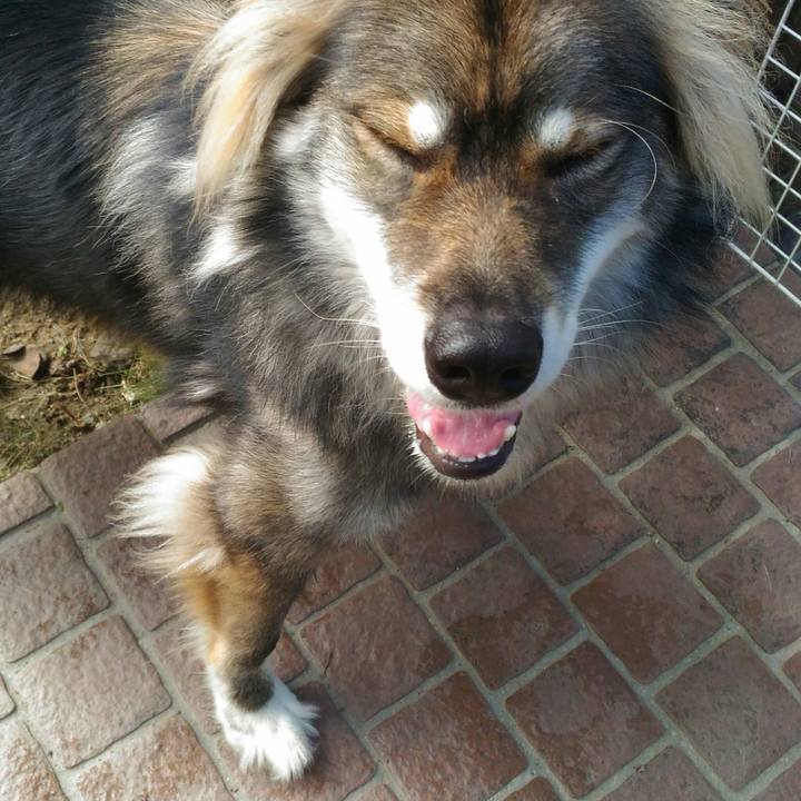 6badf2f5 96e1 47cf 9a33 1e360f243c09