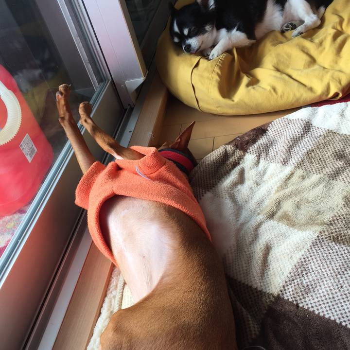 6bae42ba 44a7 4f40 be2d f5690802328d