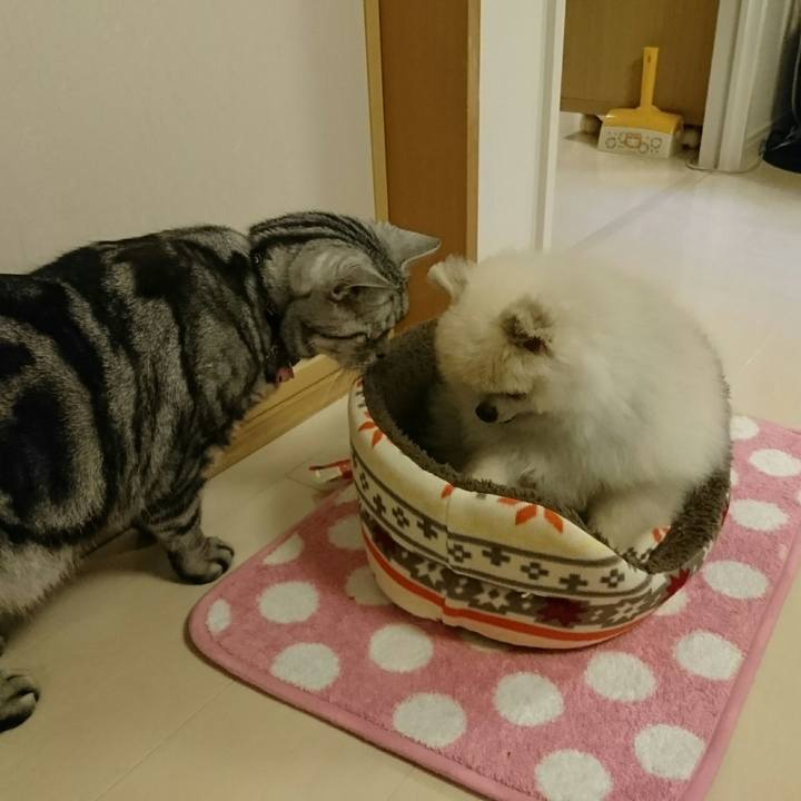 6bae4c50 fd14 4e76 a557 b1a97a3d517c