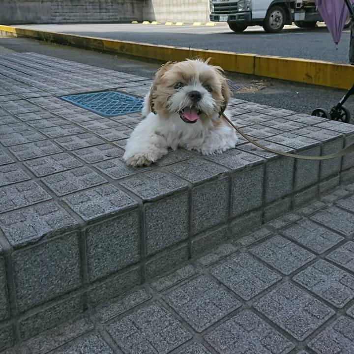 6bae5071 4cab 4826 9694 09f47f520fc6